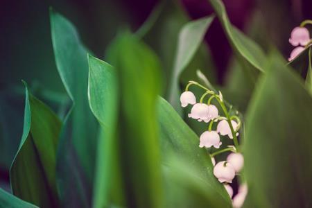 适合除夕发朋友圈文案句子79句