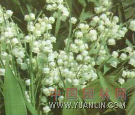 教师节创意走心文案(精选78句)