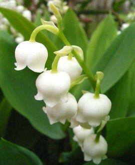 谁的青春不迷茫经典语录