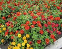 每日晚安语录正能量短句精选31句