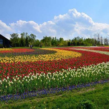 最新的国内外优美句子