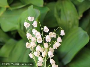 早晨问候语及关心话 早安温馨问候语汇总38句