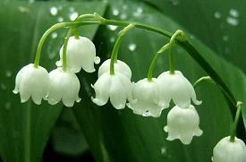 父亲节对爸爸感恩的话简短摘抄18句