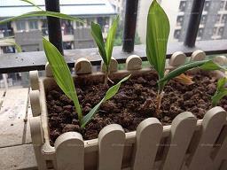 向着目标前进的句子(79句)