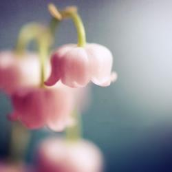 早上朋友圈怎么发吸引人 适合早上简短的朋友圈汇编74句