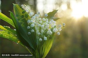 描写大自然的句子20字2021年(精选31句)