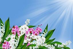 朋友圈晒娃简单经典语句大全 晒娃的微信说说语录