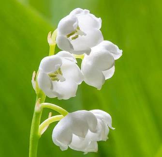 高级又沙雕的闺蜜文案 抖音最火闺蜜句子精选73句