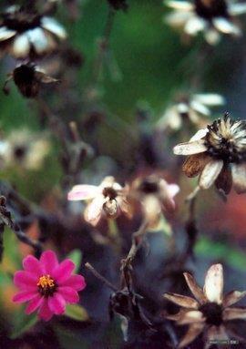 假期结束了怎么发朋友圈 假期结束收拾好心情上班的句子