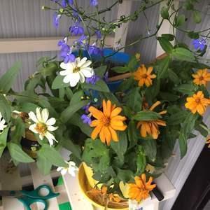 简短早安暖心话朋友圈文案(精选60句)