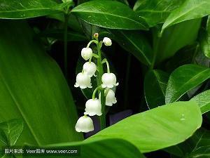 老师对学生的美好祝愿 教师寄语简短励志(精选78句)