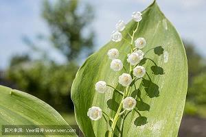 损朋友的句子带幽默 骂人超狠超难听的句子推荐63句