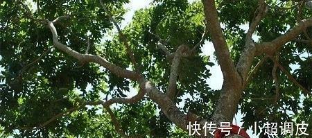 早上发朋友圈的经典短句 早上心情好简短的句子(精选24句)