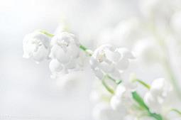 早安心语励志语录汇总37句