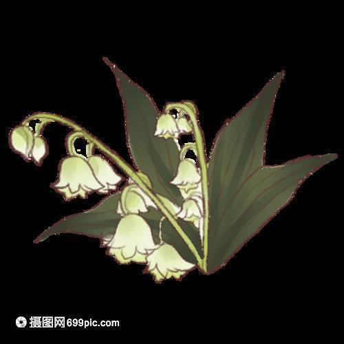 发抖音的句子86句