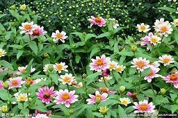 丢失友情感到惋惜的句子11句