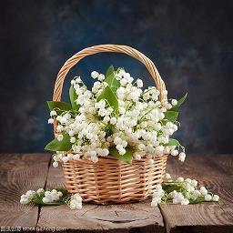 有一颗坚定的心比什么情话都重要