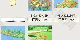 适合520发说说的文案大全精选90句