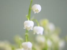 纪念918事变句子说说大全(精选63句)