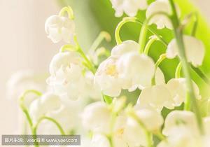 萧声唯美的句子32句