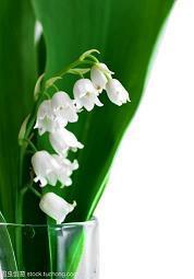 腊八节群发祝福说说65句