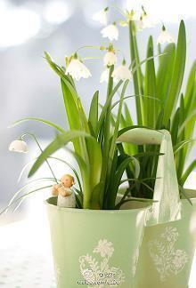 积极奋斗正能量短句大全 适合发朋友圈正能量励志短句