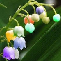 清明节朋友圈的祝福文案
