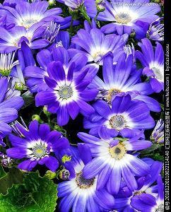 最新感人的句子