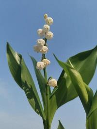 祭奠家人的伤感句子68句