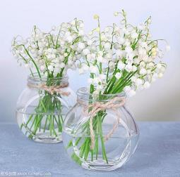 虎年吉祥语大全(精选73句)