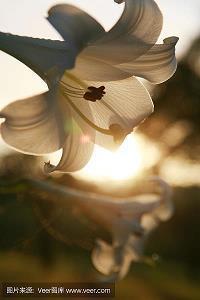 信守承诺的句子 承诺的句子说说心情