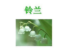 关于爱情伤感的说说短句 真正的爱情，背后没有秘密