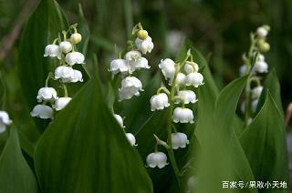 【精华】冬天早安心语的短句，冬天一句问候的句子推荐99句