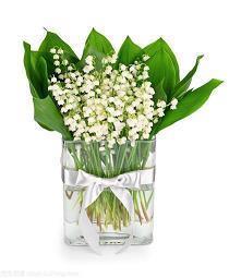 情感短文语录经典 情感短文语录