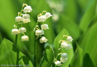 激励工作上进的句子73句