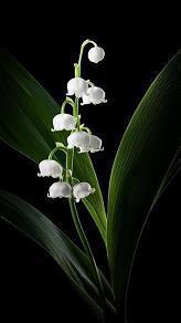 2021关于赞美秋季的句子(精选72句)