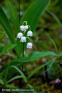 儿童天真无邪唯美句子 像孩子一样的唯美句子
