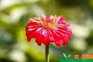 适合情侣留言的暖心句子 世界这么大，能遇见，不容易