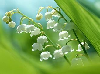 教师节文案最唯美的心情短句(精选116句)
