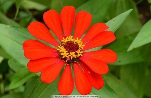 早上语录心情说说大全摘抄23句