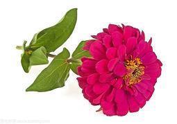 2021十一月你好朋友圈心情说说(精选80句)