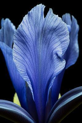 总结2020展望2021的励志短语