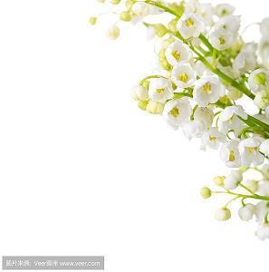 表达对恋爱失望的句子