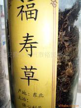 形容人间四月天的唯美句子14句