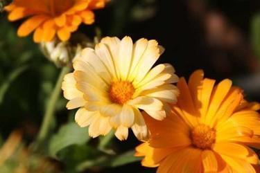 让女人感动流泪的情话 让老婆感动流泪的话