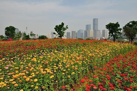 2021建军节祝福语简短独特大全(精选84句)