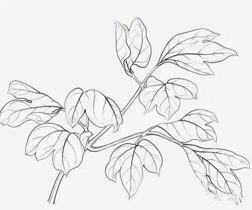 静静的夜里心烦的句子