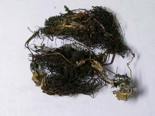 成功励志的句子