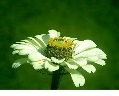 蕴含深刻道理的句子 意义深刻且简短的句子(精选64句)