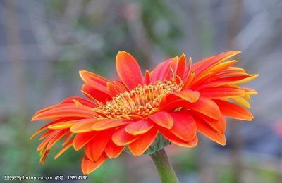 立春时节朋友圈问候祝福寄语